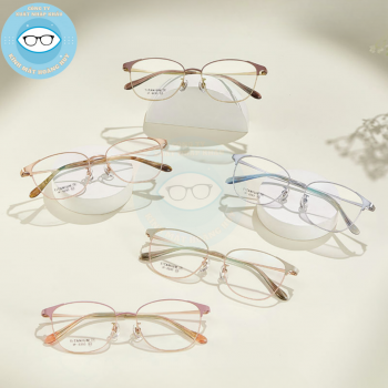 Gọng kim loại mã 6293